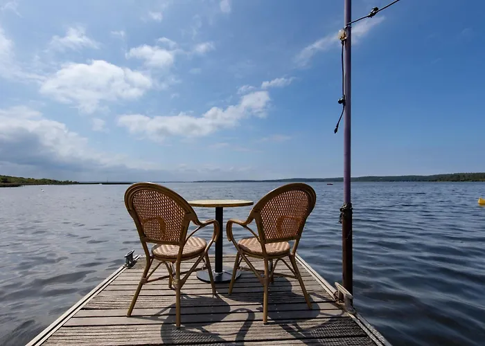 Villa Familiale Sur 3000m2 Avec Piscine Biscarrosse